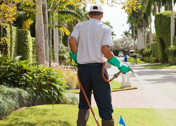 About Amherst NE Pest Control Pros